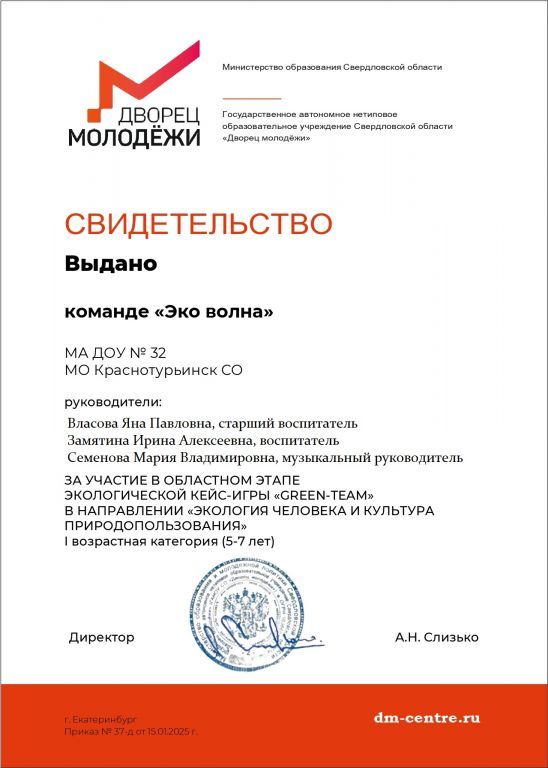 Эко волна.jpg