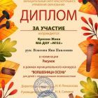 Крохин Ж, участие.jpg